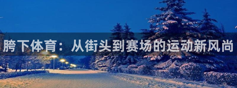 胯下体育：从街头到赛场的运动新风尚